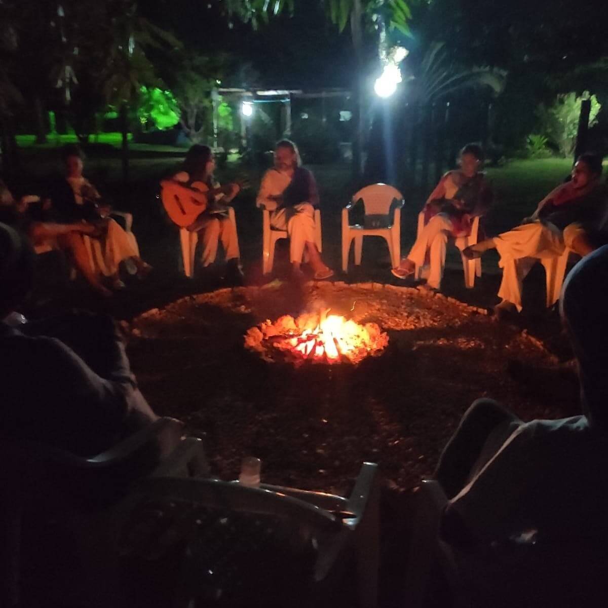 Folhas de Chacrona e Cipó Mariri da Ayahuasca na floresta