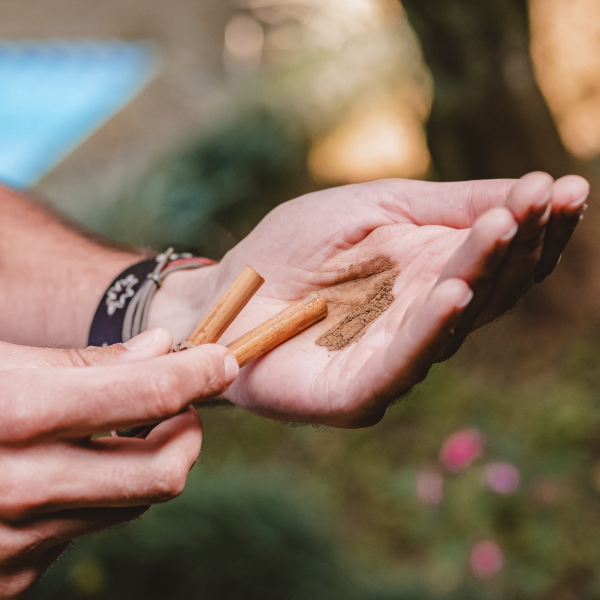 Prática de meditação xamânica na natureza